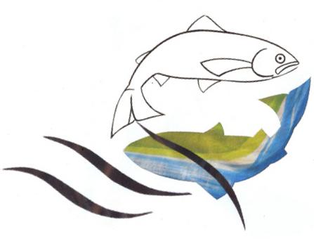 SalmonDrawing